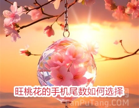 【数字能量学】如何选择旺桃花运的手机号码？